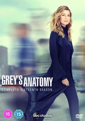 Grey's Anatomy - Season 16 (DVD)