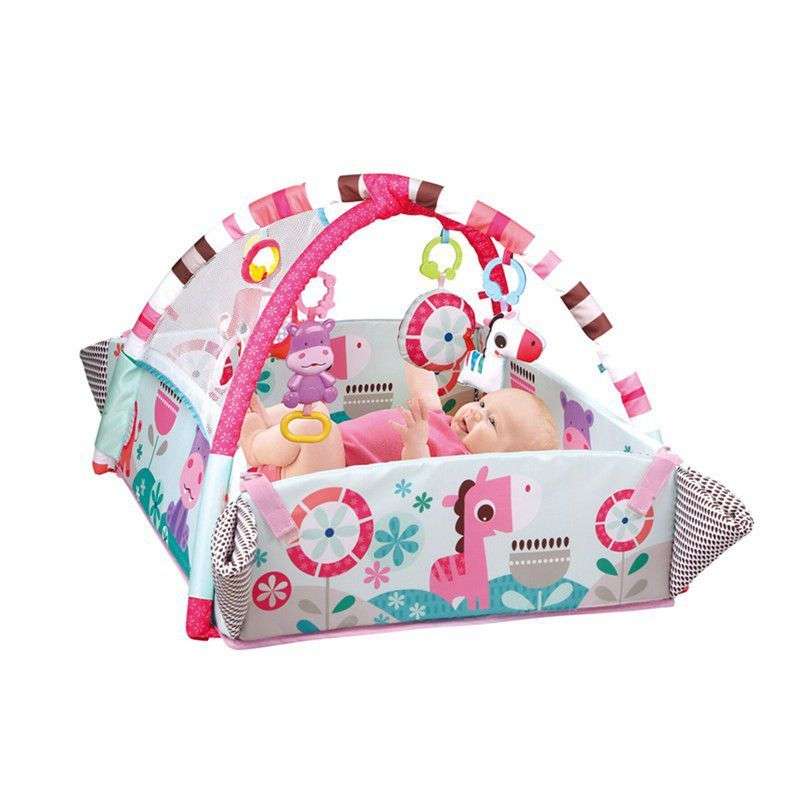 Activity 5-in-1 Gym Play Mat & Ball Pit - PINK