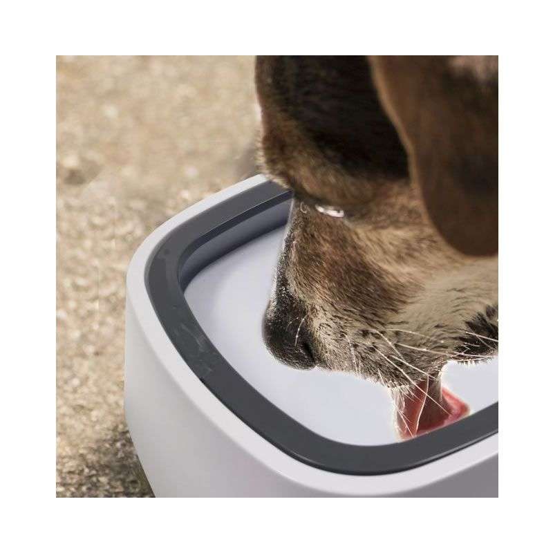 Pet Water Bowl