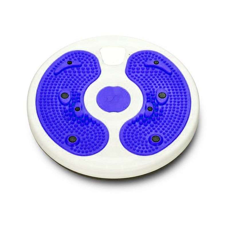 Waist twisting disc