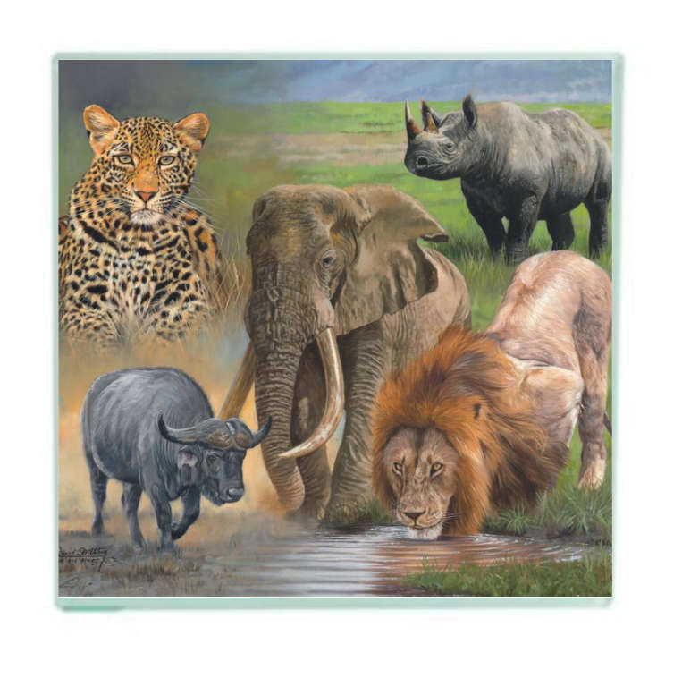 Big 5 Safari Glass Coaster Set