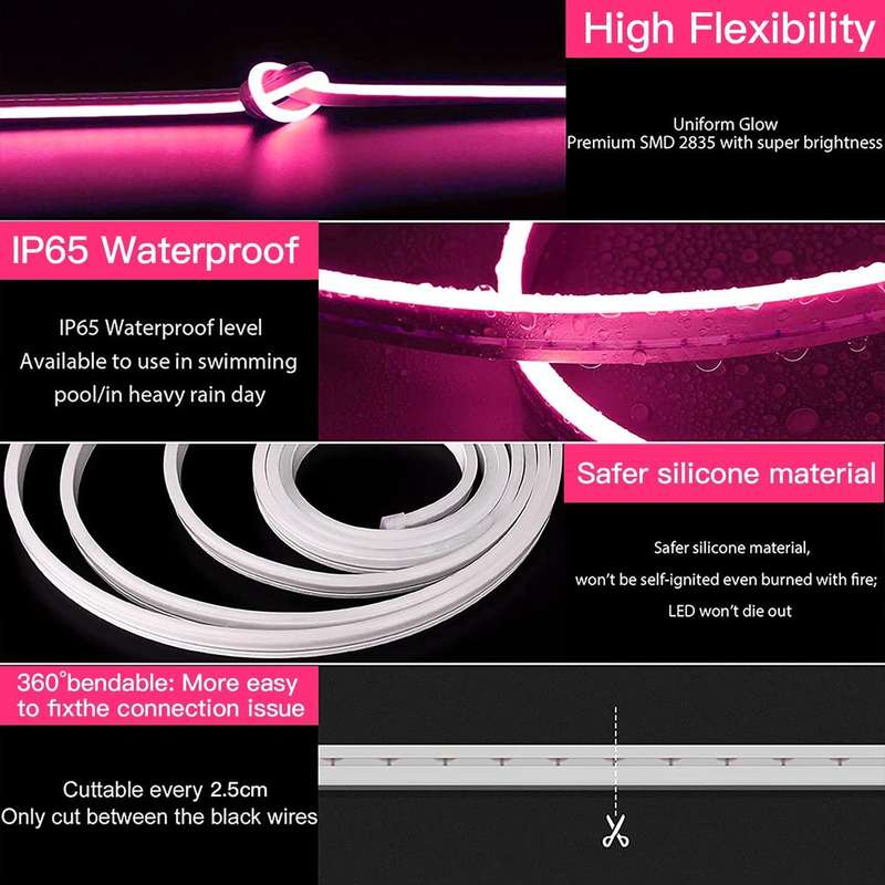 12V 5M Neon LED Strip Light with power supply