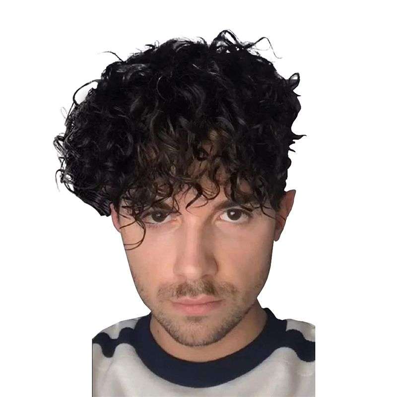 Short Curly Men Black Fluffy Synthetic Hair Wig