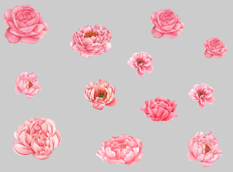 Peony Flowers - Self Adhesive  Wall Vinyl Stickers - Peel and Stick Vinyl Decal - Pack of 12 flowers