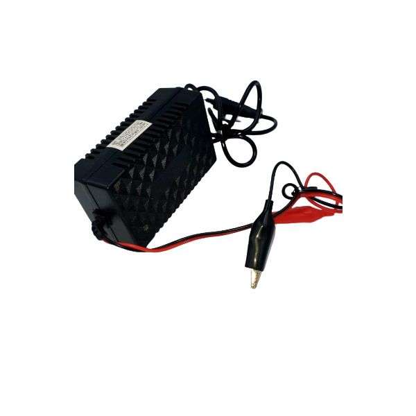12v 2a Intelligent Pulse Charger