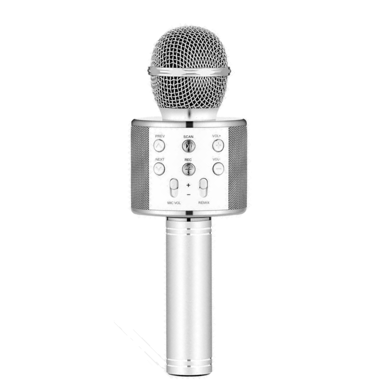 Everlotus Wireless Karaoke Microphone