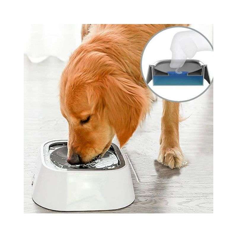 Pet Water Bowl