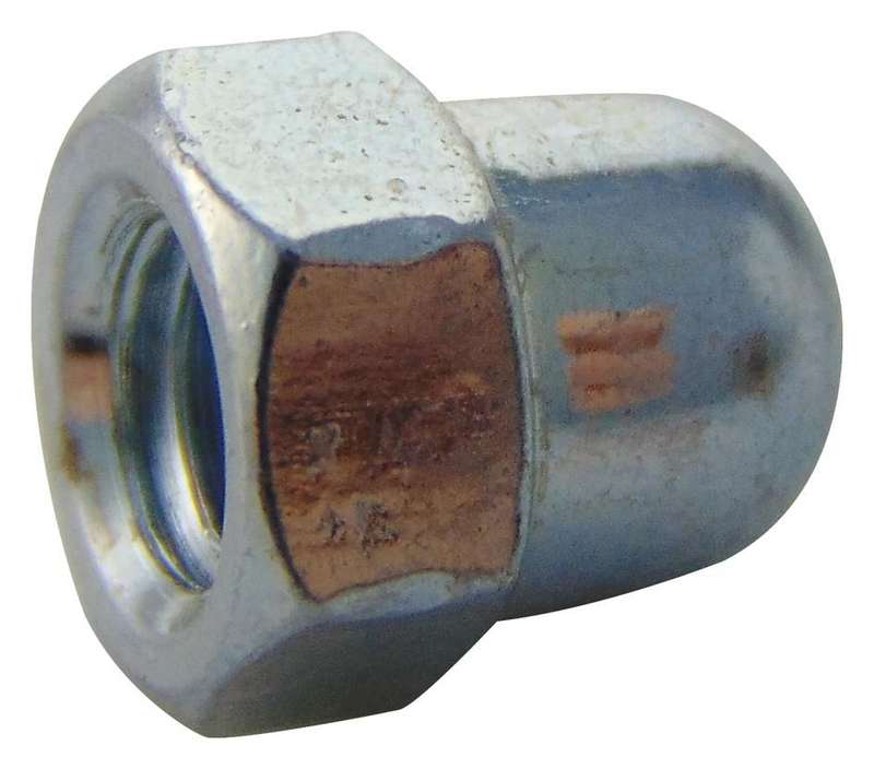TR Fastenings (M5- DNST-Z100-) Nut, Dome, M5, Steel