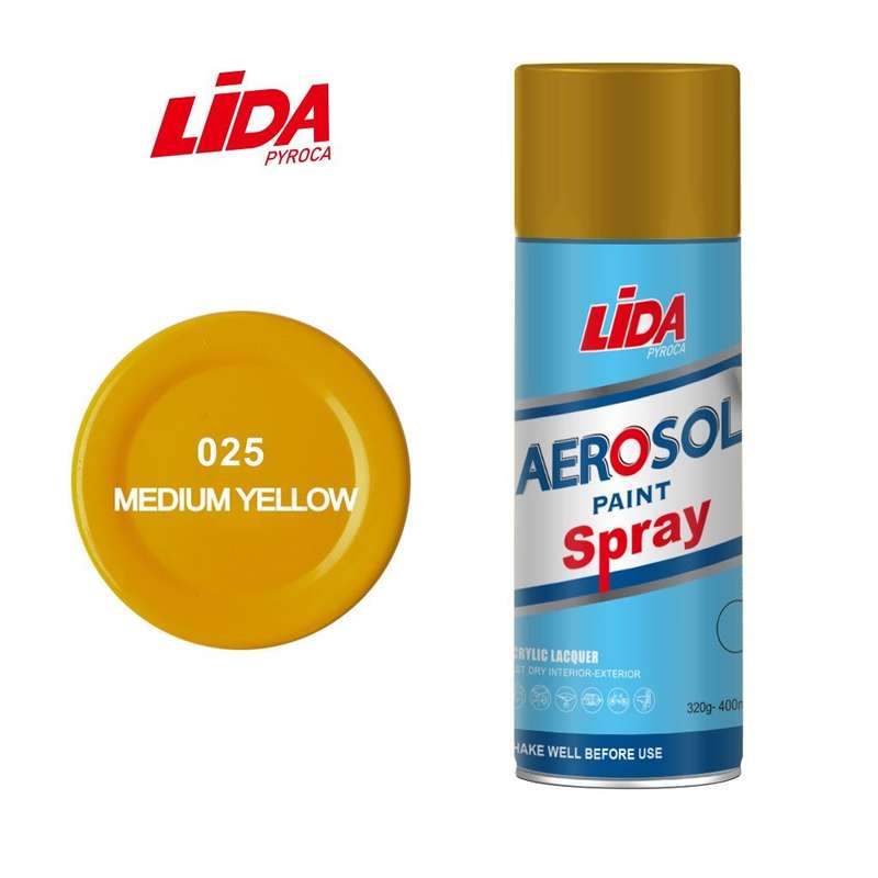 LiDA Spray Paint 400ml-Different Colors