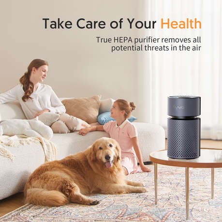 Kyvol P5 Air Purifier
