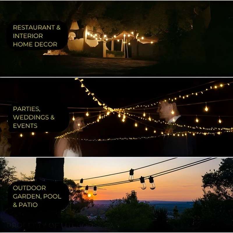20  meter light string with 20 bulbs 220V