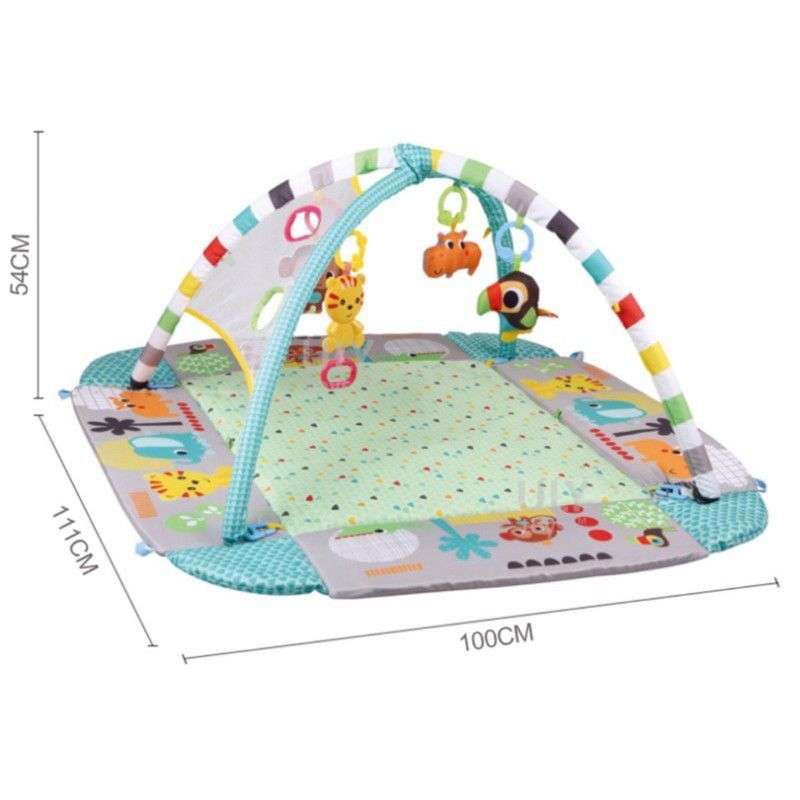 Activity 5-in-1 Gym Play Mat & Ball Pit - PINK