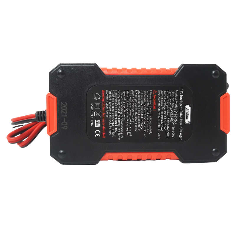 Andowl 12V Intelligent Pulse Repair Charger Q-DP9921