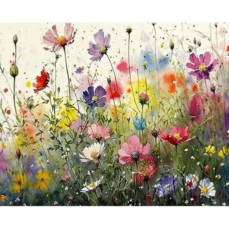 Paint by numbers - Colourful Cosmos Field - 40x50cm