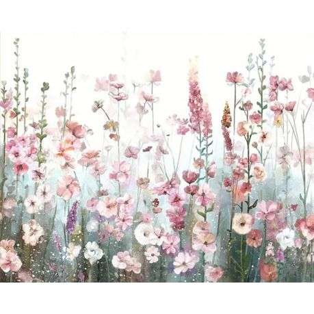 Paint by numbers - Cosmos field - 50x40cm