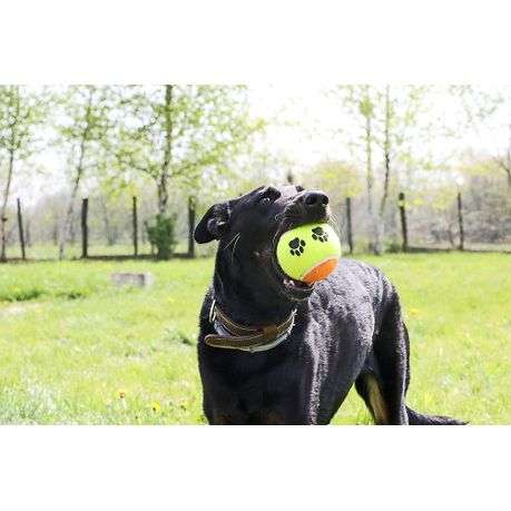 Durable Fetch Dog Rubber Tennis Balls Pawprint Bouncy Chew Toys - 3 Pack