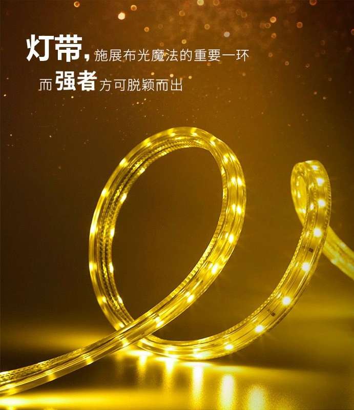 Warm White Strip LED Light 5050 -100M