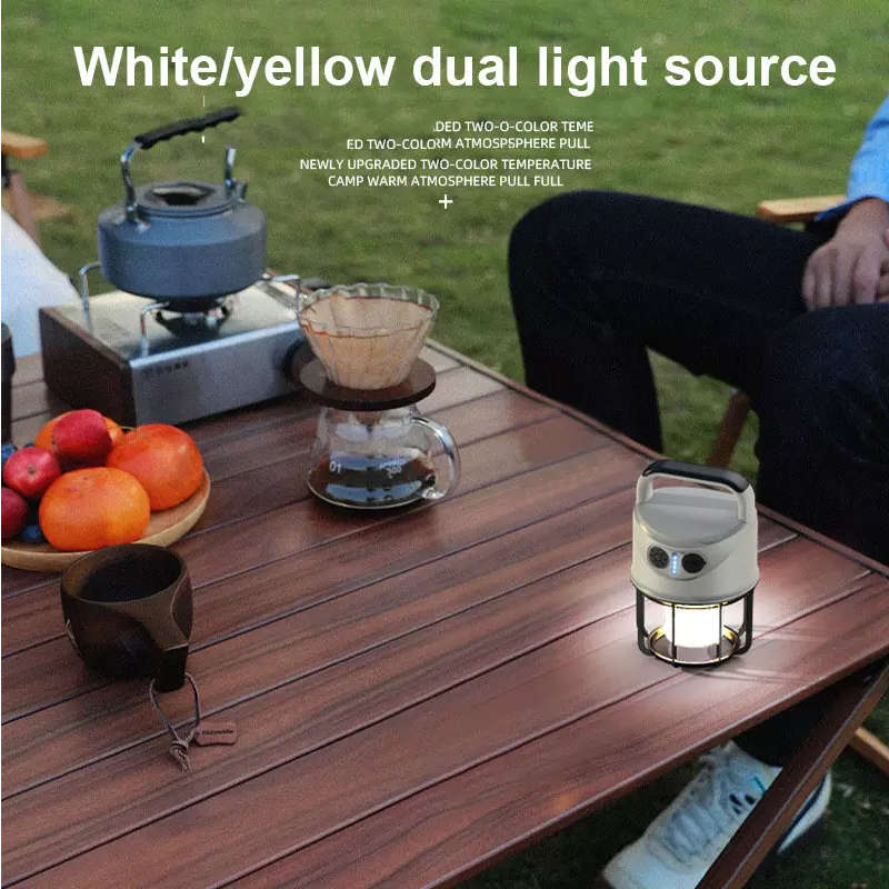 Multipurpose dual lighting camping lantern