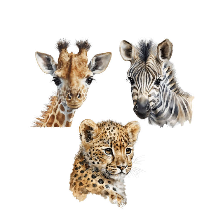 Safari Wall Vinyl Stickers - Pack of 3