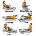 Jack Brown Sports Foam Roller - Blue
