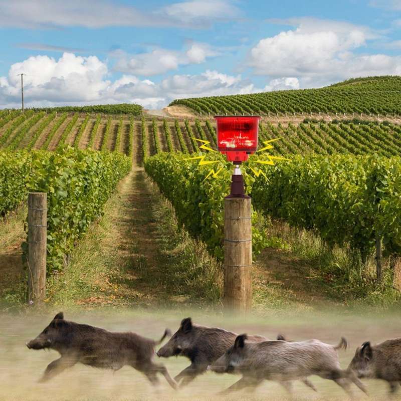 Solar Animal Repeller Pack of 2
