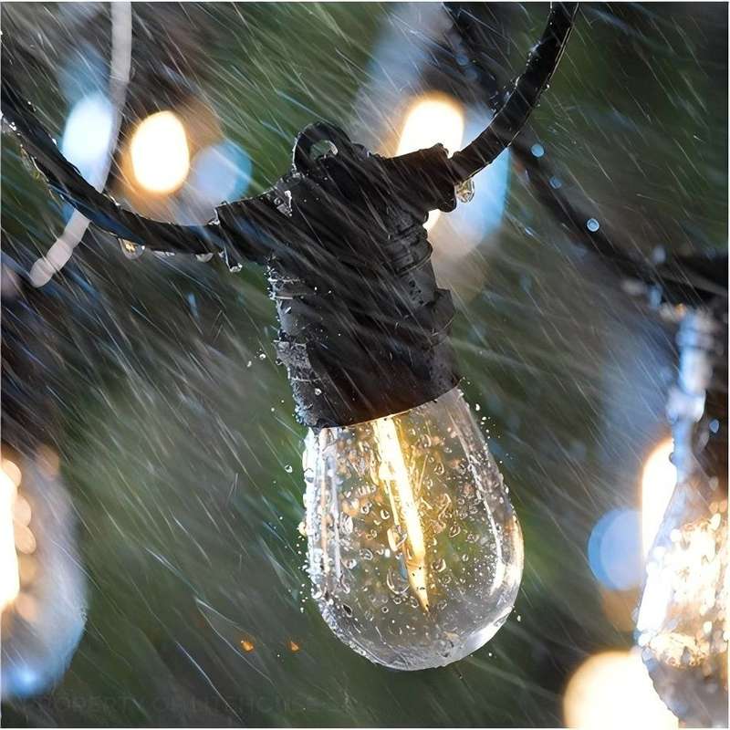 20  meter light string with 20 bulbs 220V