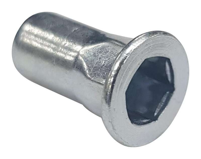 TR Fastenings (W/M10/FLGXE/OE/ST/PG) Rivet Nut, Blind, Flange