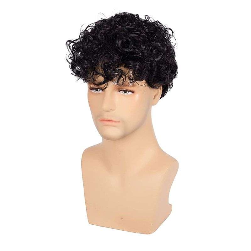 Short Curly Men Black Fluffy Synthetic Hair Wig