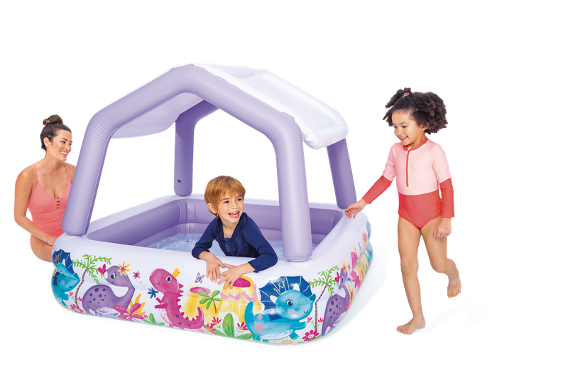 Intex Sun Shade Pool