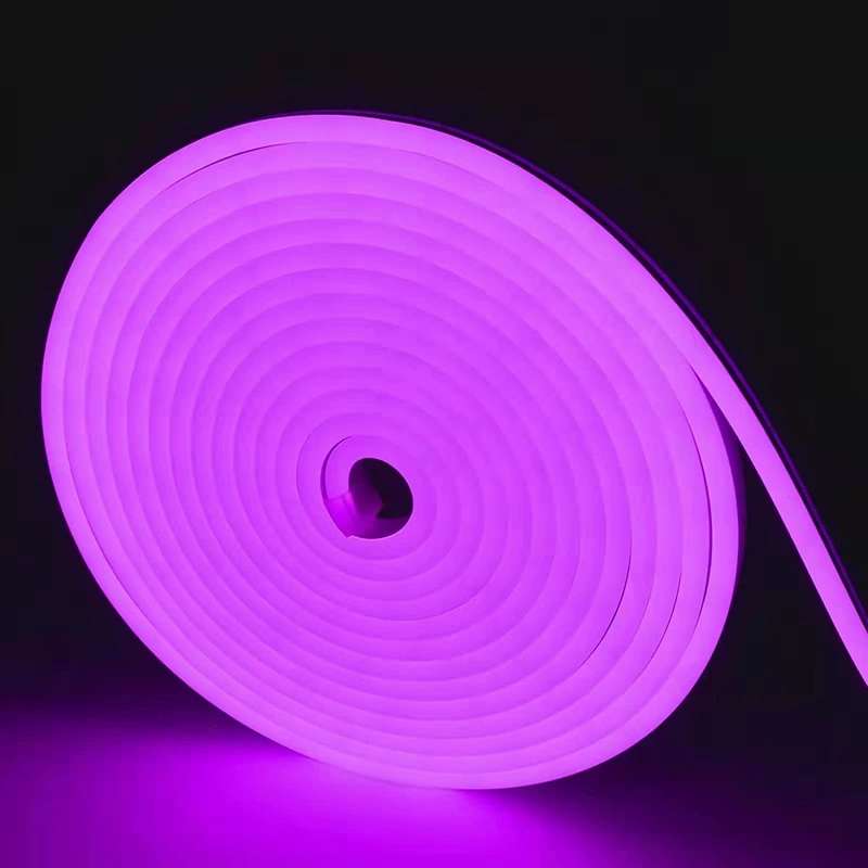 12V 5M Neon LED Strip Light with power supply