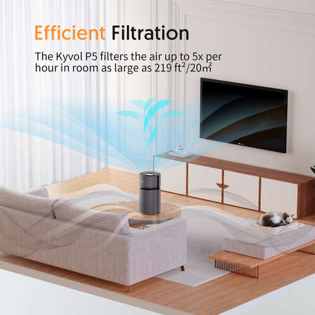 Kyvol P5 Air Purifier