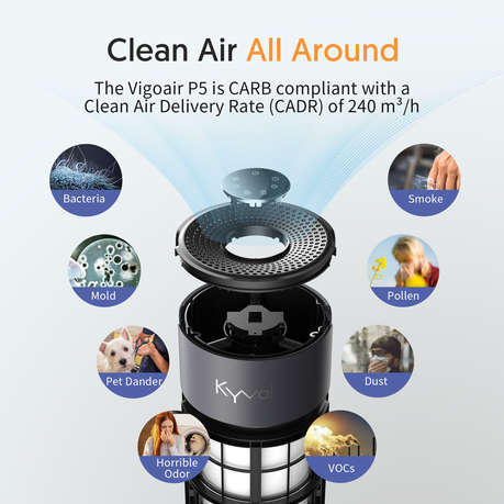 Kyvol P5 Air Purifier