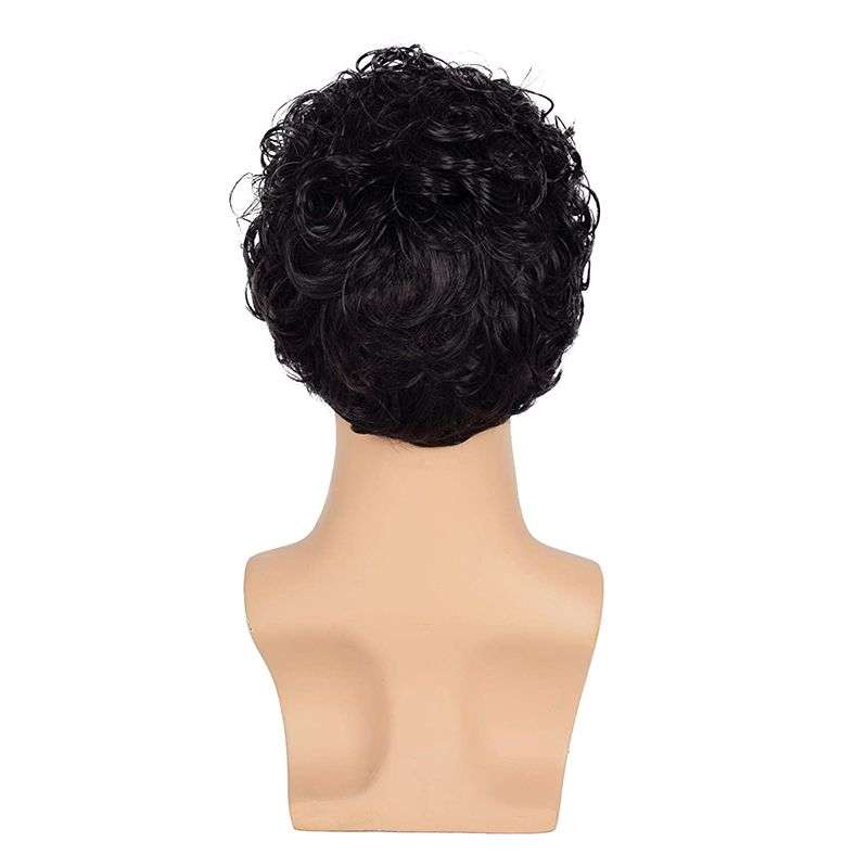 Short Curly Men Black Fluffy Synthetic Hair Wig