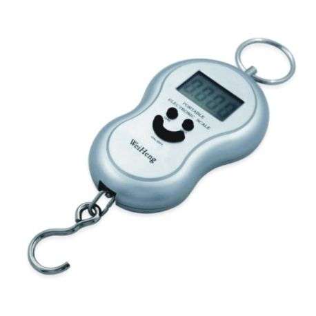 Portable electronic scale