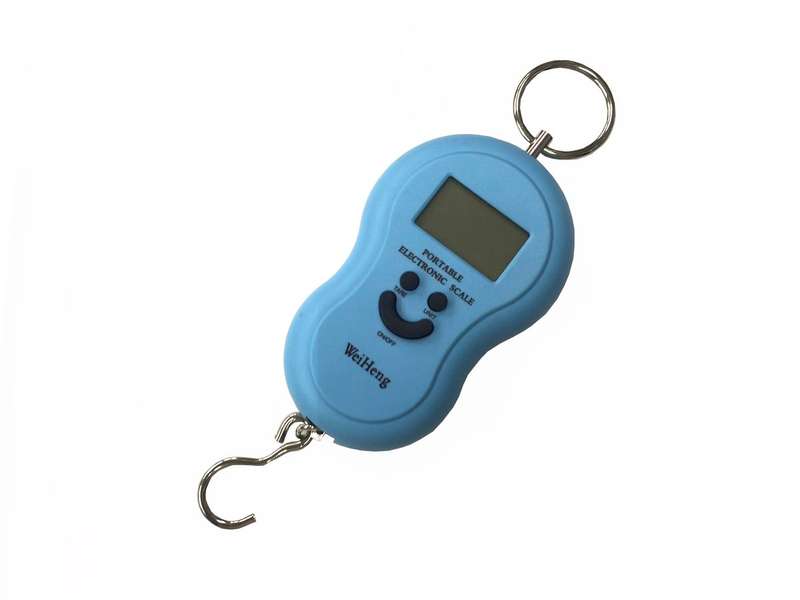 Portable electronic scale