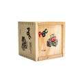 Educational ABC Wooden Blocks In Storage Box - 48 Piece