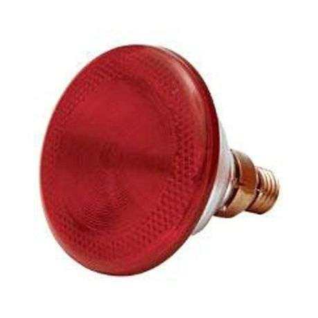 Poultry Infra Red Lamp - Light Bulbs & Lighting