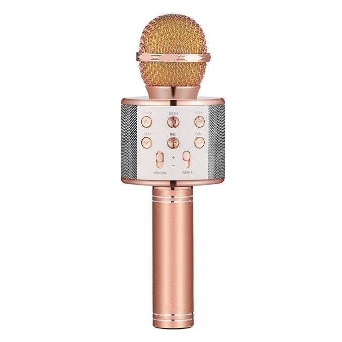 Wireless Microphone Hifi Speaker Handheld KTV