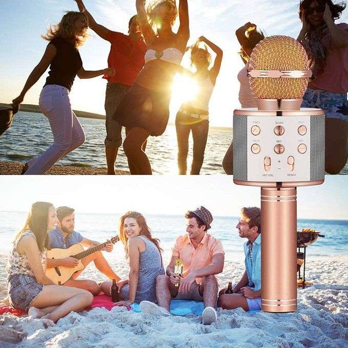 Wireless Microphone Hifi Speaker Handheld KTV
