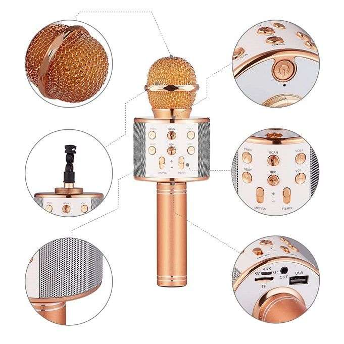 Wireless Microphone Hifi Speaker Handheld KTV