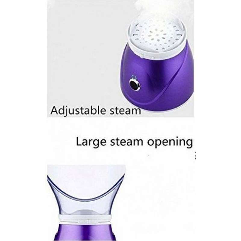 Professional Facial Steamer