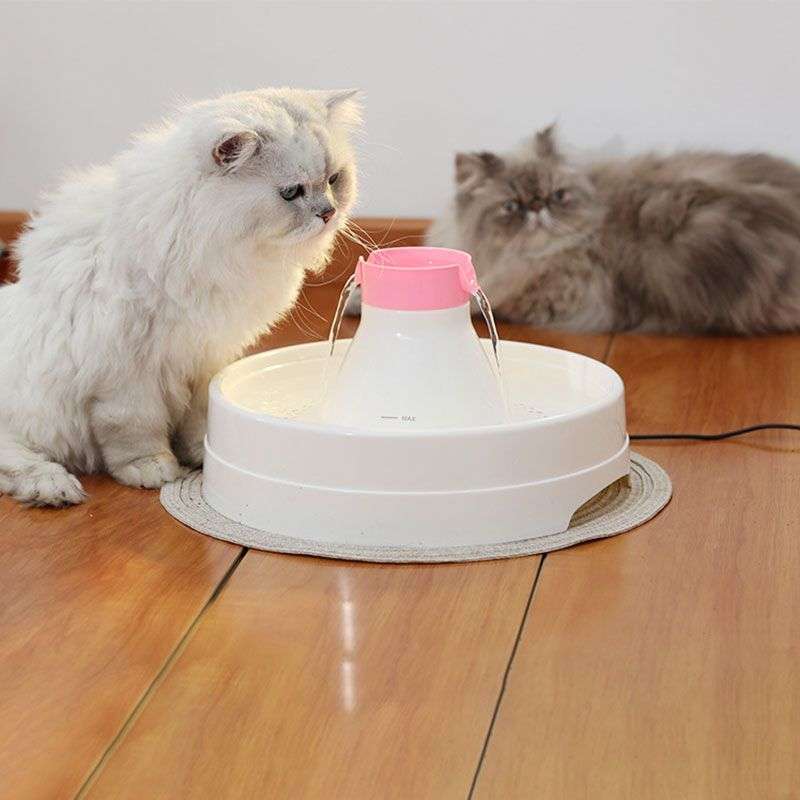 DHAO Pet Drinking Fountain Quiet Automatic or Cat and Dog 3L - Pink