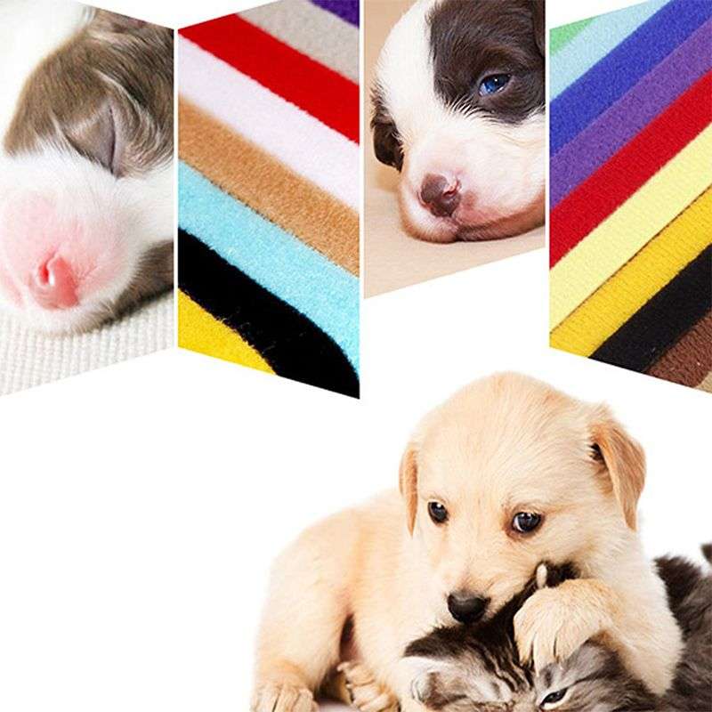 DHAO-12 Pics Adjustable Hook & Loop Collars in 12 Colors Pet Dogs/Cats - S