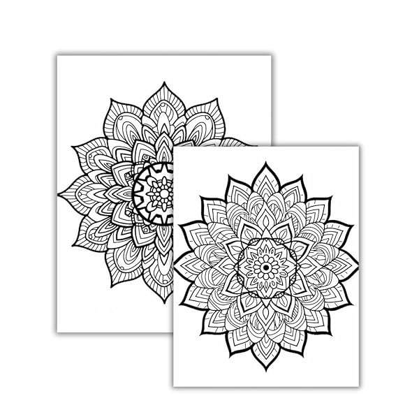 Mandala Coloring Book for Adults Stress Relief Coloring Book [Ring-bound] Valenna