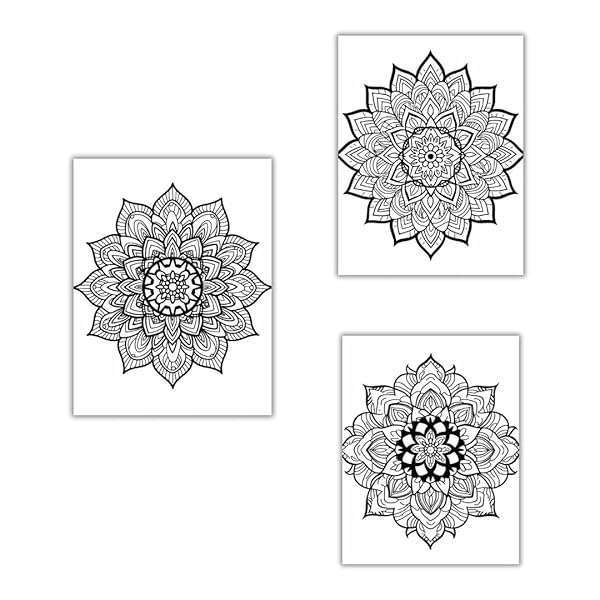 Mandala Coloring Book for Adults Stress Relief Coloring Book [Ring-bound] Valenna