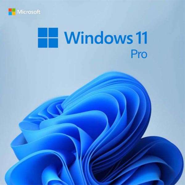 Microsoft FQC-10528 Windows 11 Professional DVD Single User License