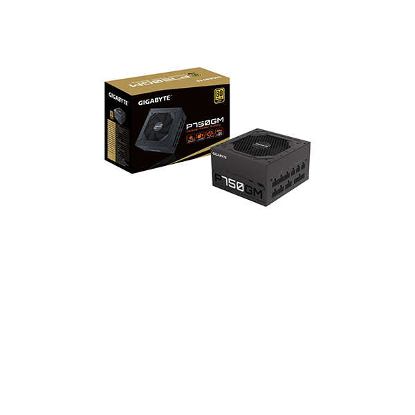 Gigabyte P750GM 750W 80 Plus Gold Certified Fully-Modular Desktop Power Supply