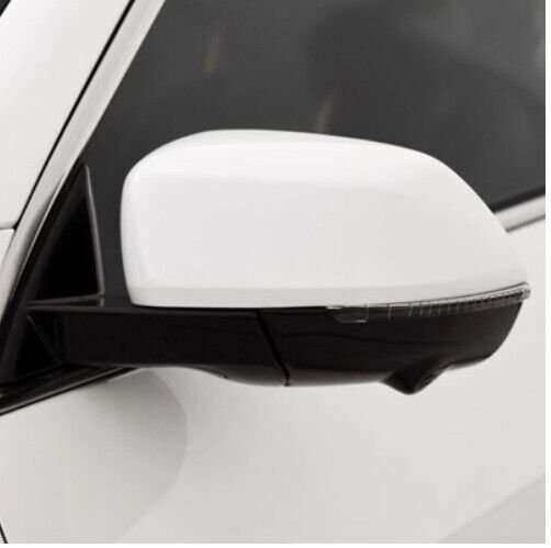 For 18-21 Haval F7 Side View Mirror Assembly Turn Signal 13 Pins Left White
