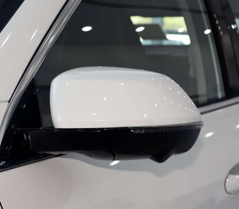 For 19-21 Haval F7X Side View Mirror Assembly Turn Signal 13 Pins Left White