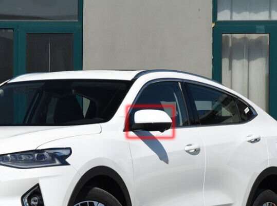 For 19-21 Haval F7X Side View Mirror Assembly Turn Signal 13 Pins Left White